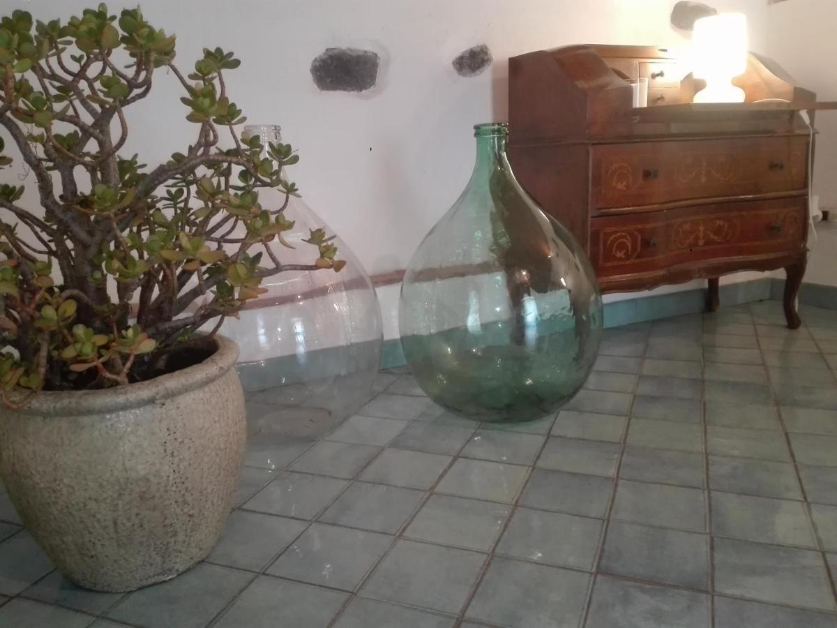Bouganville Catánia Buitenkant foto