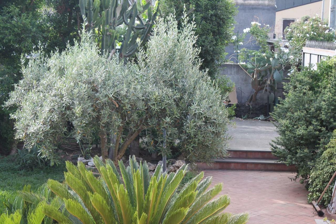 Bouganville Catánia Buitenkant foto